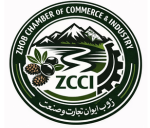 zhobcci.com